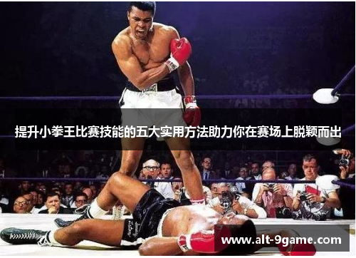 提升小拳王比赛技能的五大实用方法助力你在赛场上脱颖而出