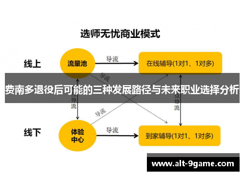 费南多退役后可能的三种发展路径与未来职业选择分析