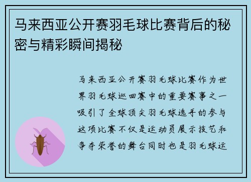 马来西亚公开赛羽毛球比赛背后的秘密与精彩瞬间揭秘