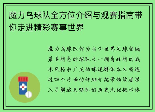 魔力鸟球队全方位介绍与观赛指南带你走进精彩赛事世界